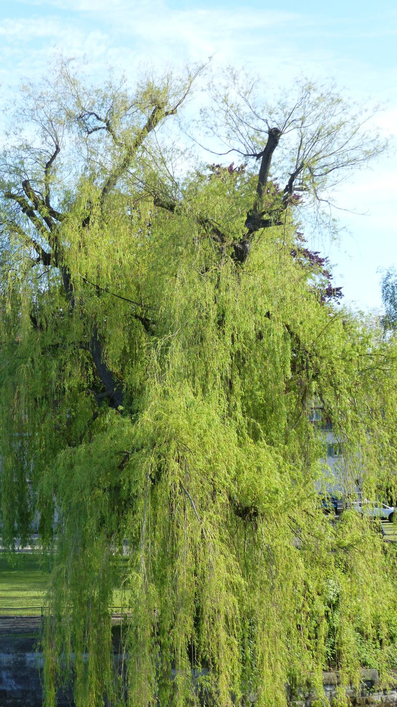 April — Bild 19