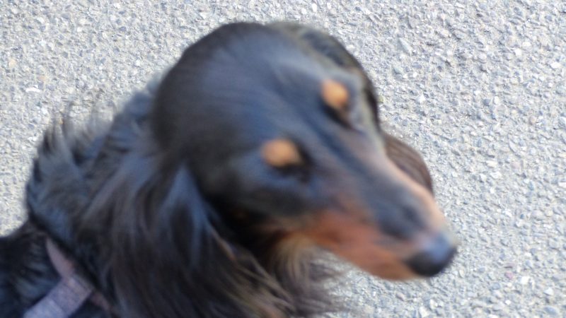April — Bild 23