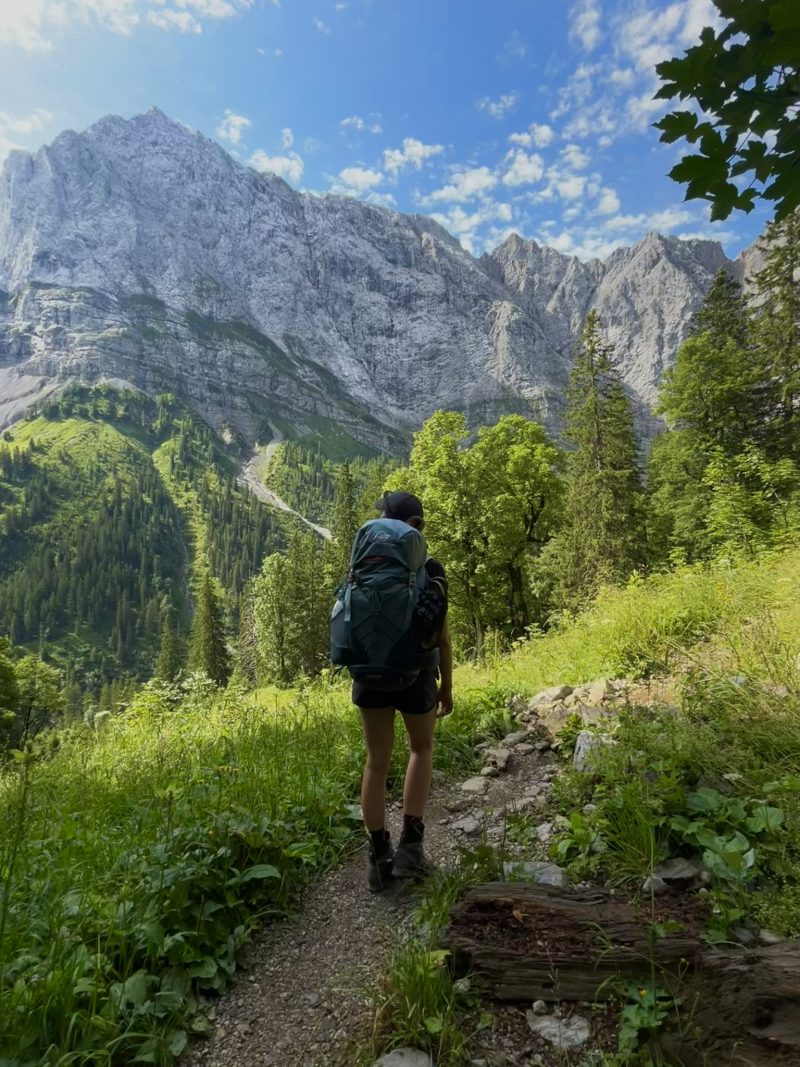 evergreen