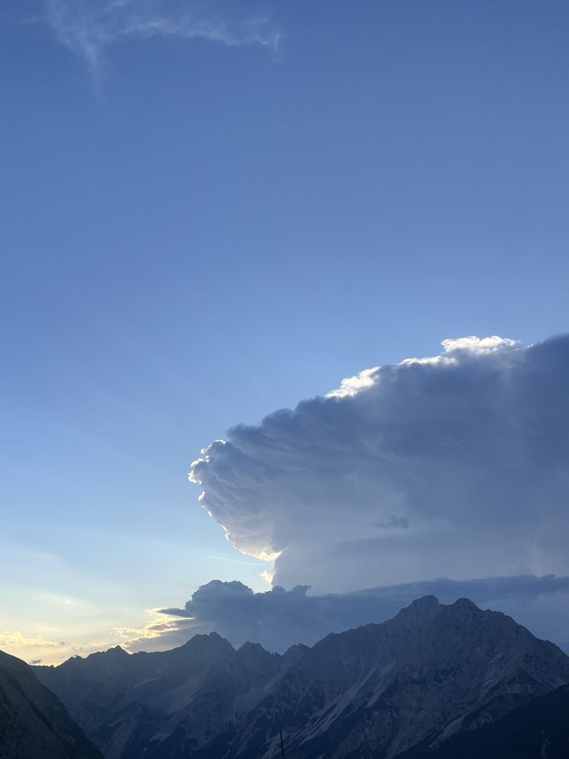 evergreen — Bild 8
