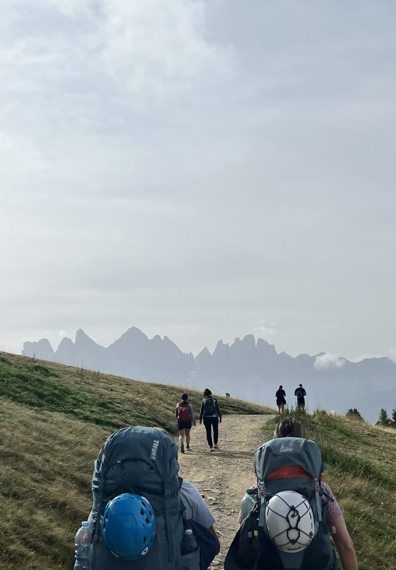 evergreen — Bild 11