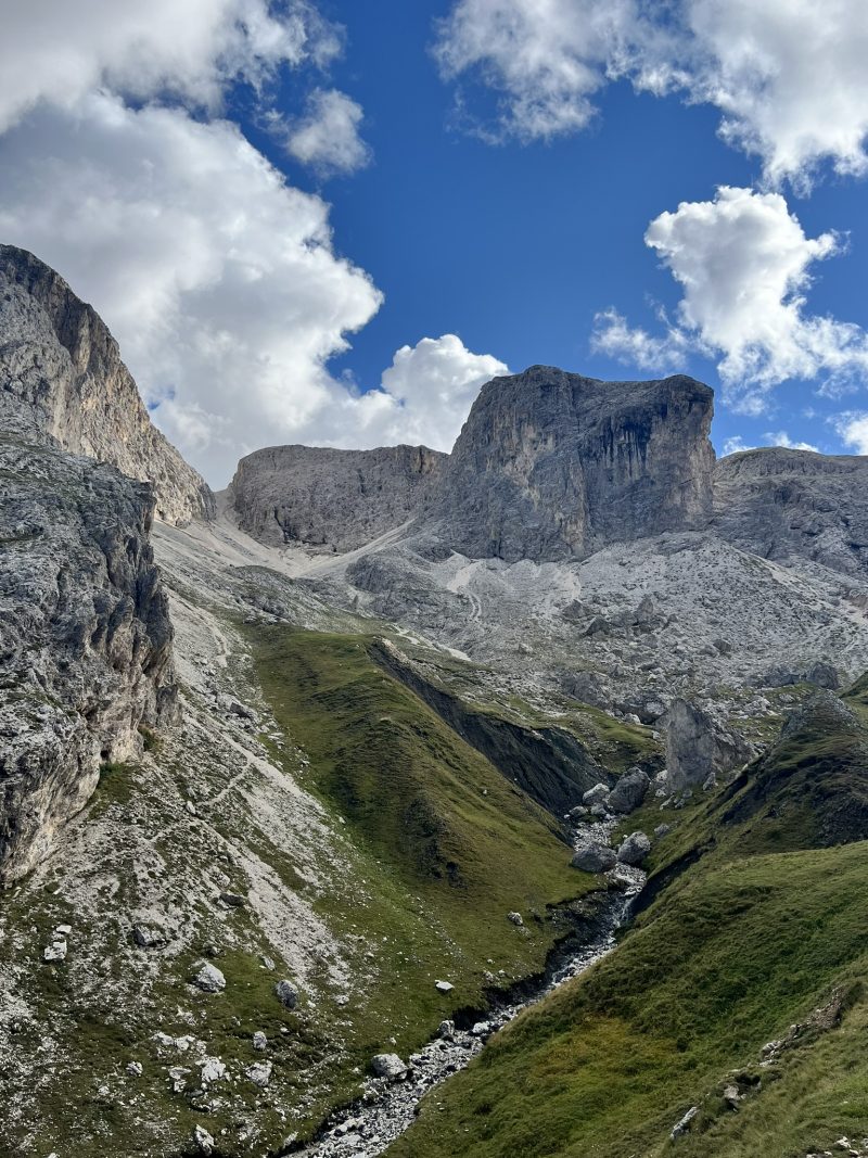 evergreen — Bild 12
