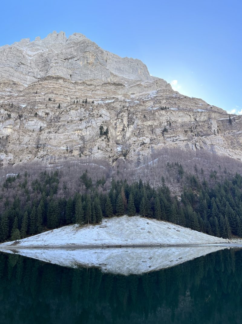 evergreen — Bild 17