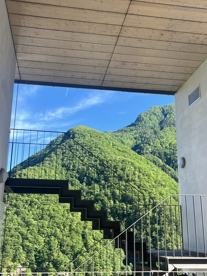 evergreen — Bild 19