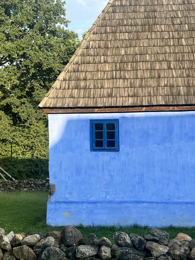 evergreen — Bild 24