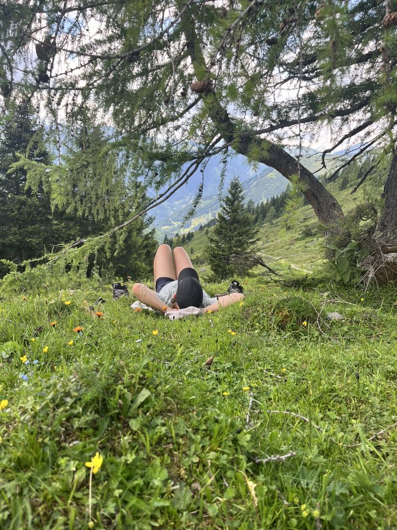 evergreen — Bild 30