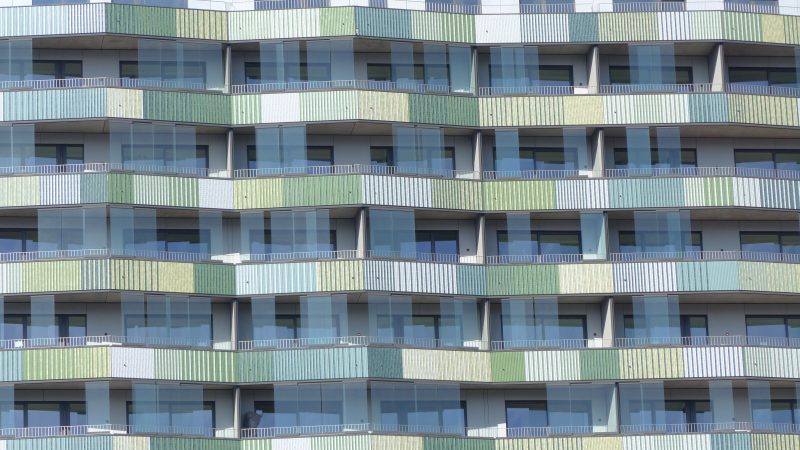 February — Bild 10