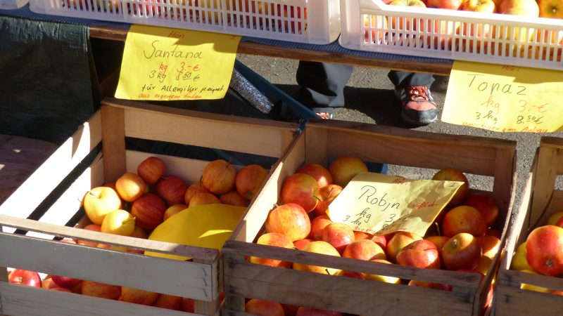 February — Bild 13