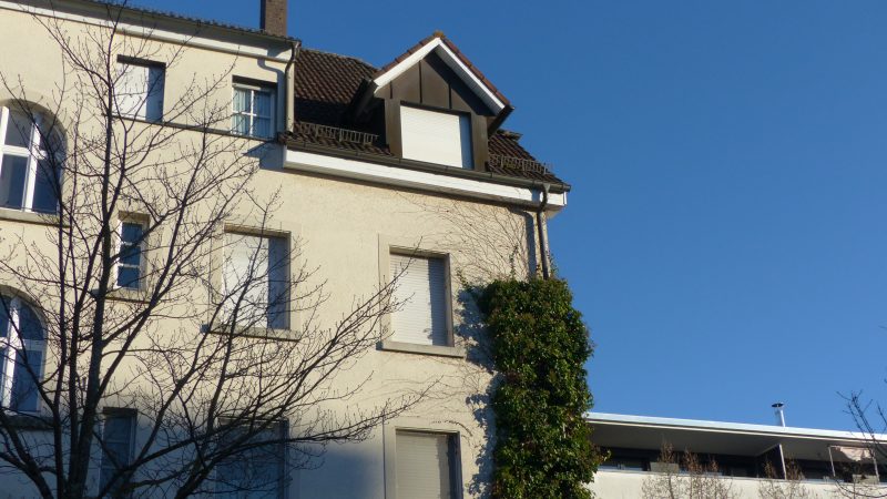 February — Bild 11