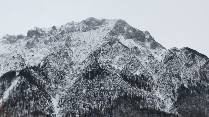 February — Bild 21