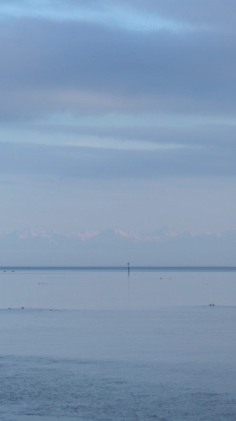 February — Bild 17