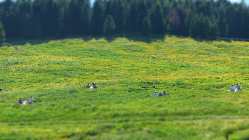 June — Bild 10