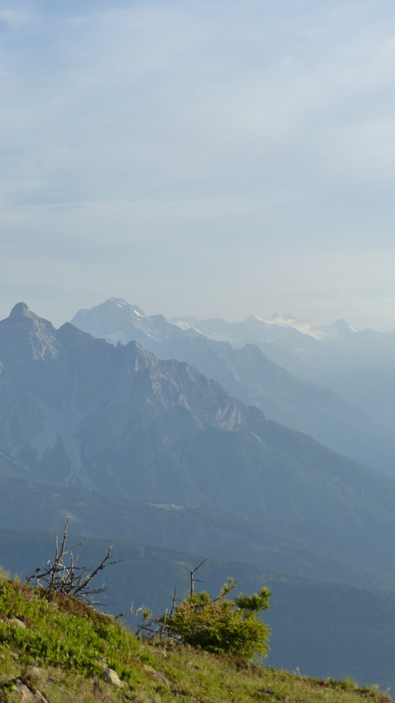 June — Bild 13