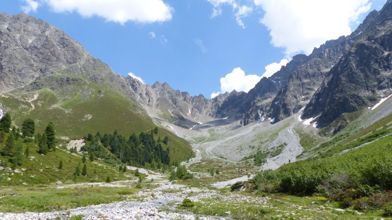 June — Bild 16