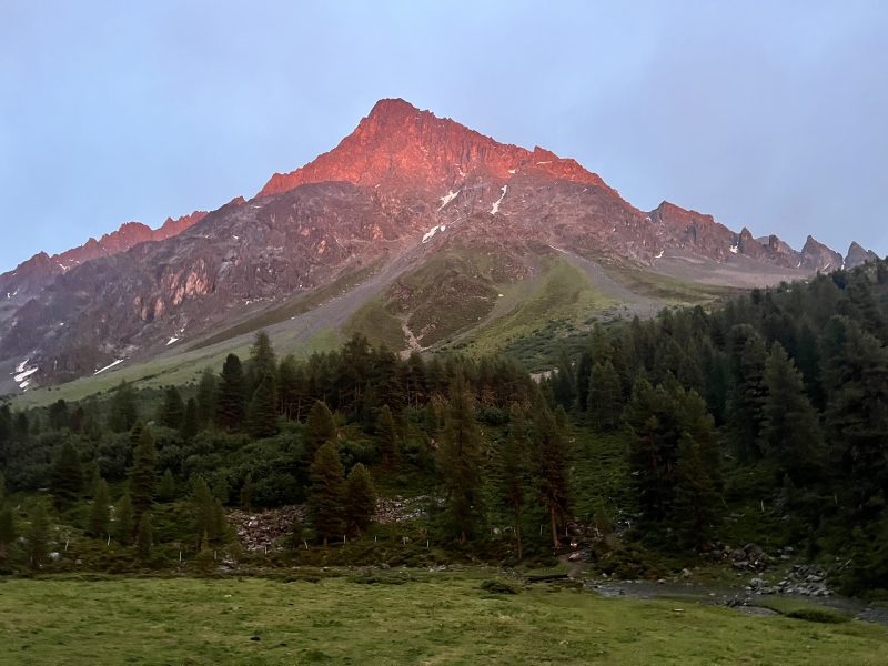 June — Bild 20