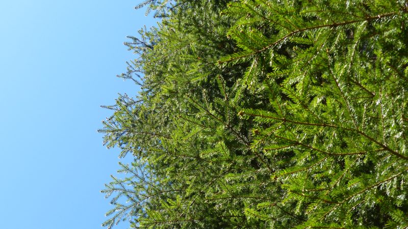 May — Bild 3