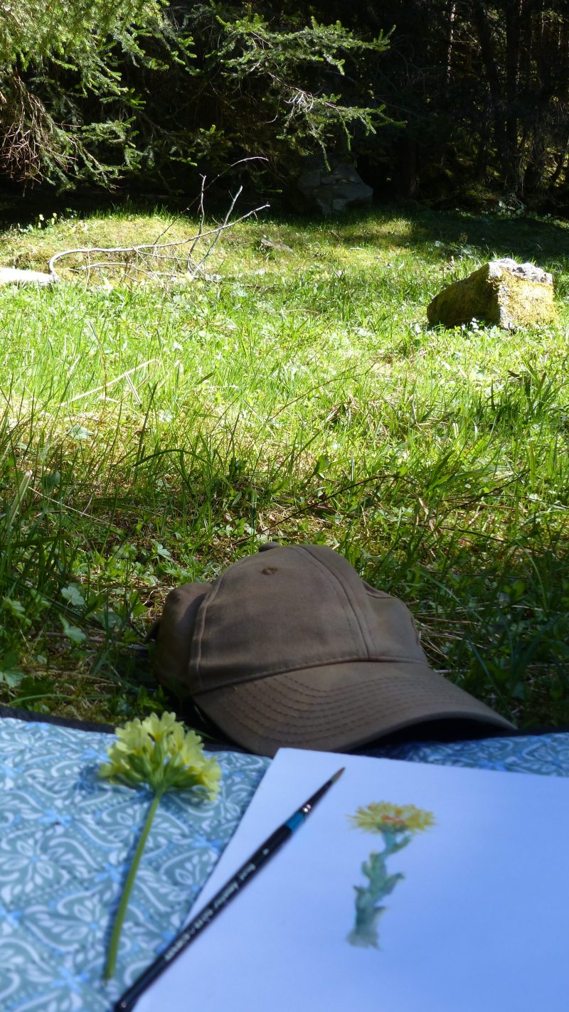 May — Bild 4