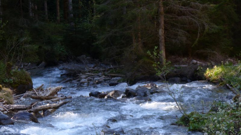 May — Bild 6