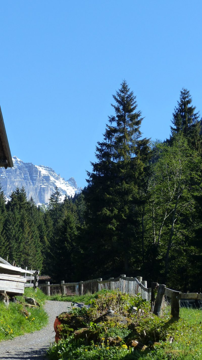 May — Bild 10