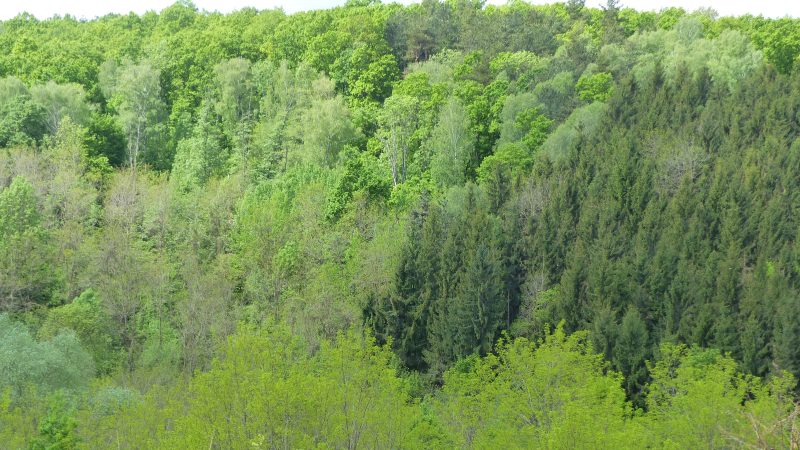 Via Transilvanica — Bild 8