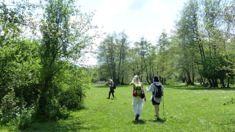 Via Transilvanica — Bild 12