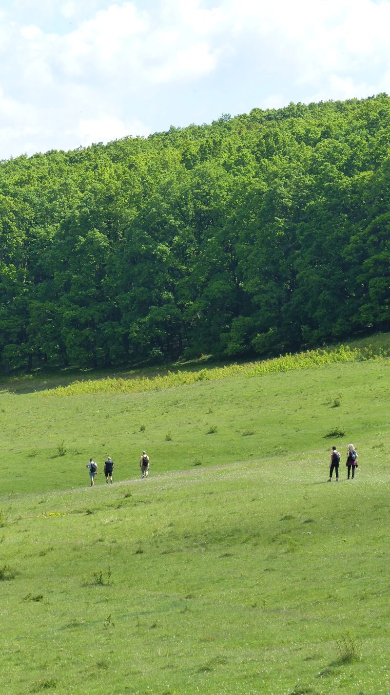 Via Transilvanica