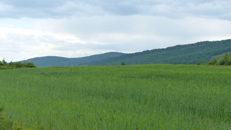 Via Transilvanica — Bild 25