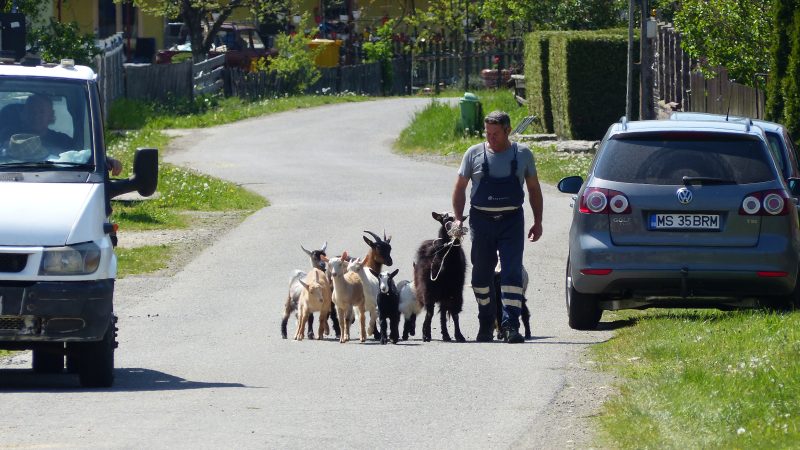 Via Transilvanica — Bild 24