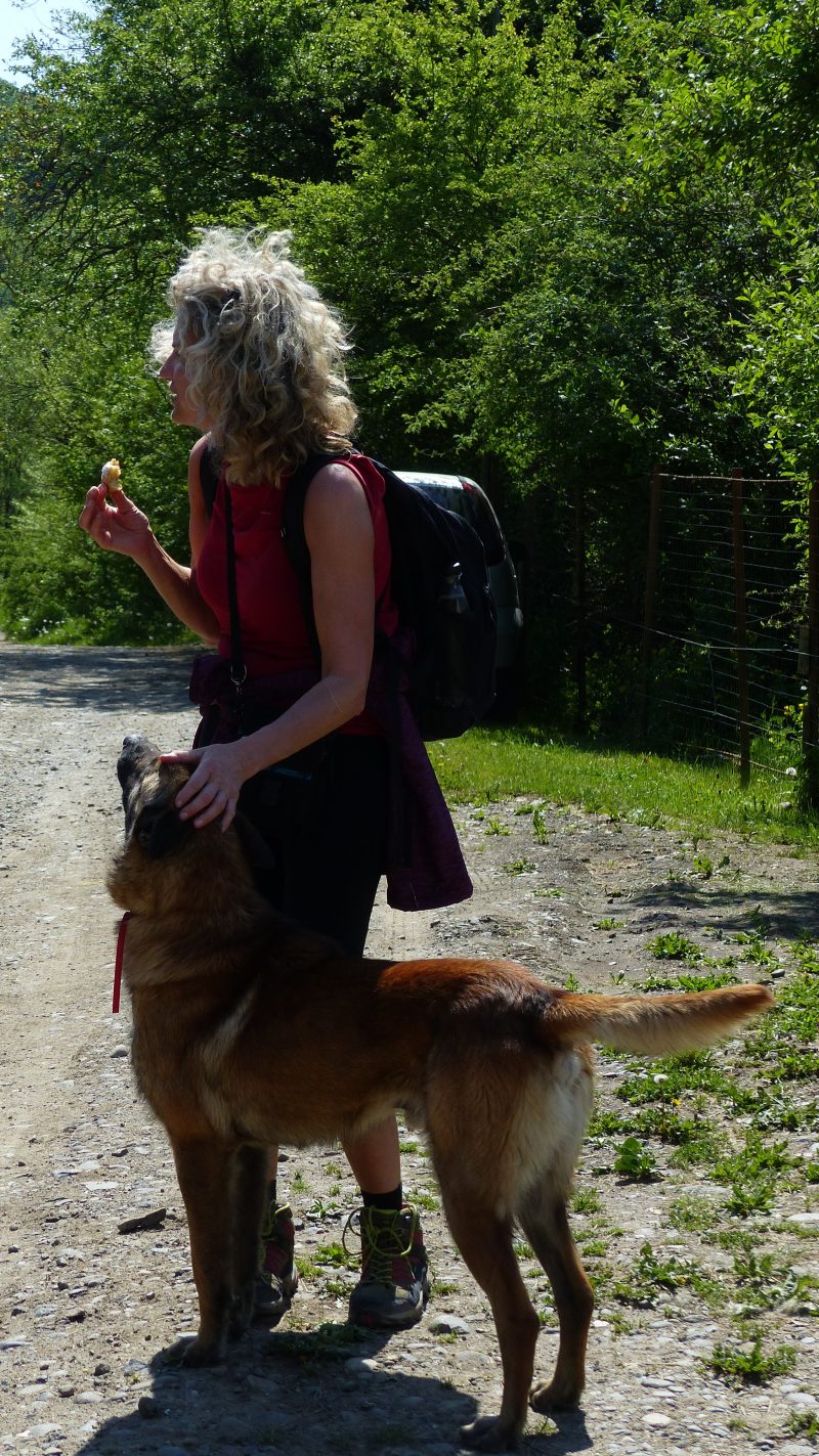 Via Transilvanica — Bild 28