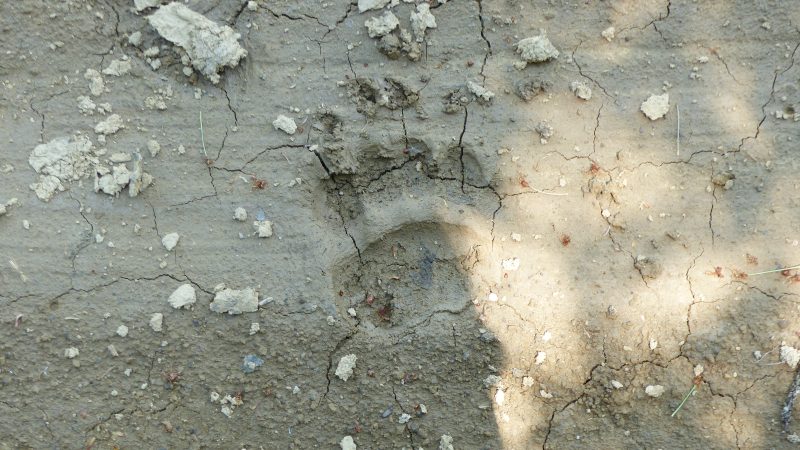 Via Transilvanica — Bild 32
