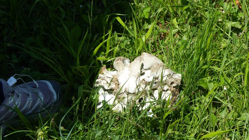 Via Transilvanica — Bild 33